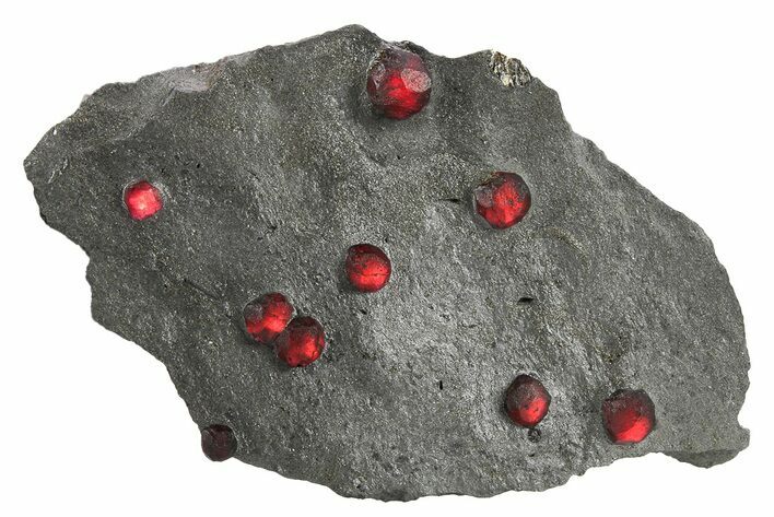 Plate of Nine Red Embers Garnets in Graphite - Massachusetts #272714